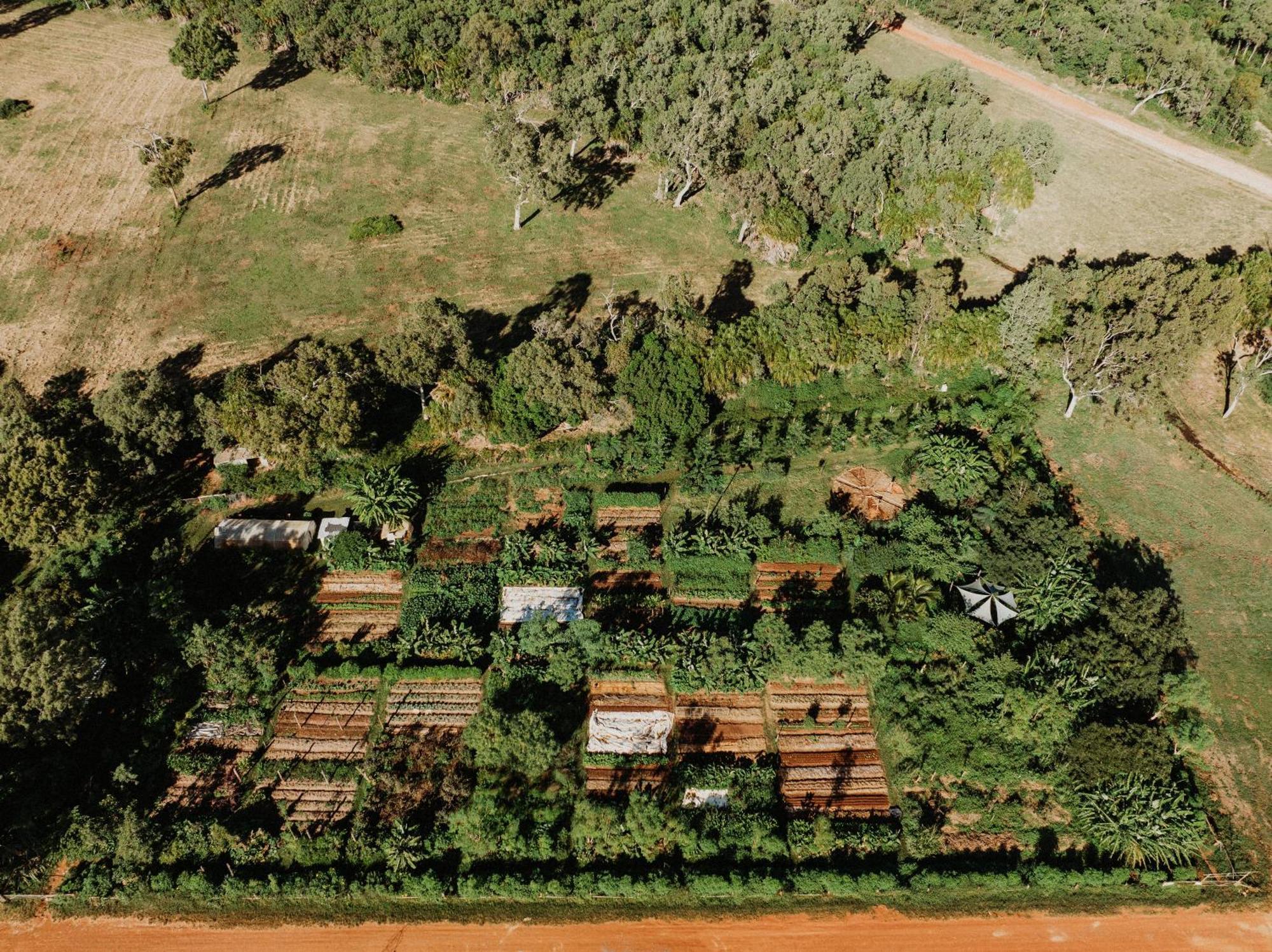 Farm stay High Valley Dawn Permaculture Farm