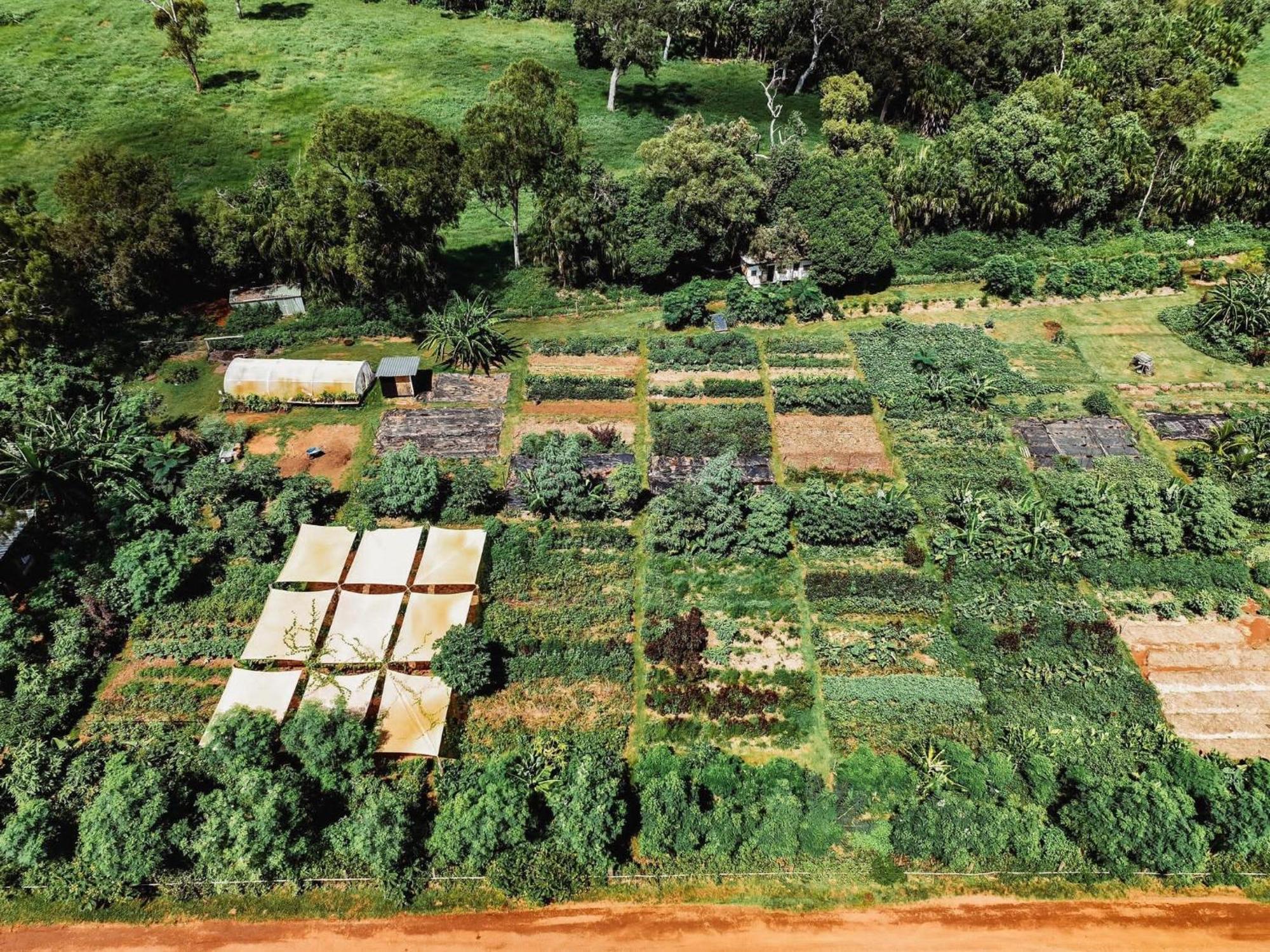 High Valley Dawn Permaculture Farm * Yeppoon